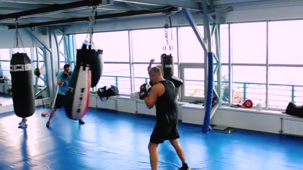 Les hommes sportifs s'entraînent à la salle de gym — Video