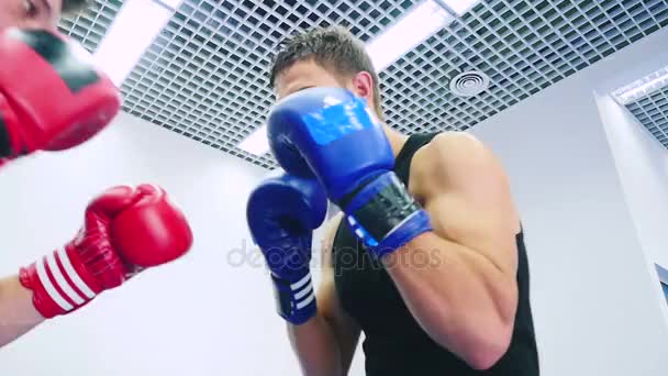 Männer boxen im Fitnessstudio — Stockvideo