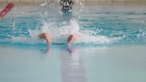 Man swimming Butterfly Stroke — Stock Video