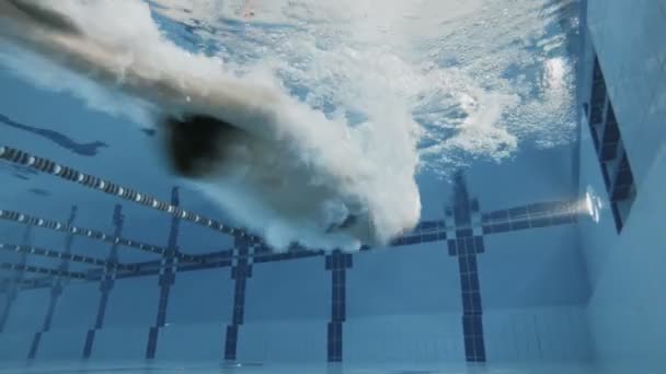 Hombre deportivo buceo en la piscina . — Vídeo de stock