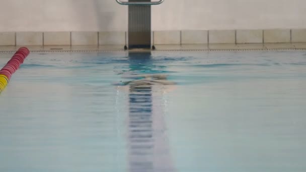 Hombre nadando Mariposa accidente cerebrovascular en piscina . — Vídeos de Stock