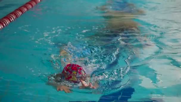 Vader onderwijs meisje zwemmen — Stockvideo