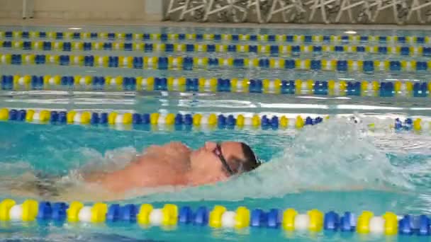 Mann schwimmt Rückenschwimmen im Pool. — Stockvideo