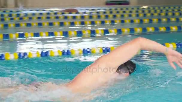 Jeune homme nageant dans la piscine . — Video