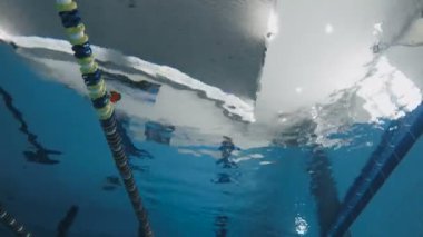 genç adam dalış Havuzu.