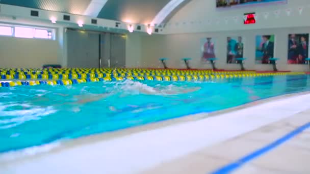 Hombre deportivo nadando estilo Breaststroke — Vídeos de Stock