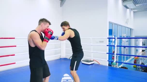Hommes boxe dans la salle de gym — Video