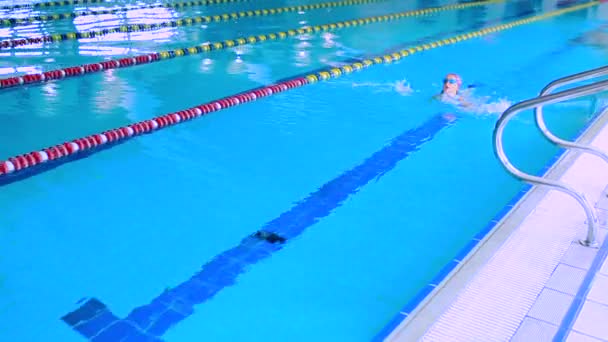 Liten flicka simmar i poolen. — Stockvideo