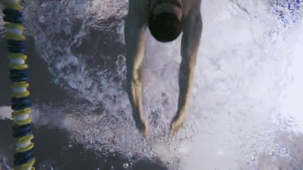Hombre deportivo nadando estilo Breaststroke — Vídeos de Stock