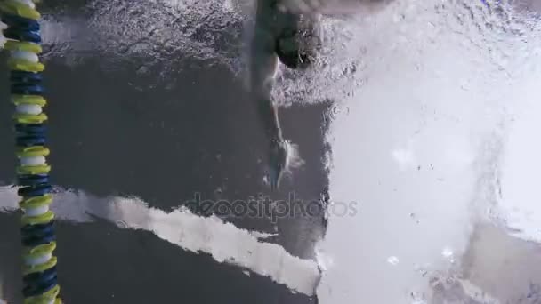 homme natation Front crawl style 