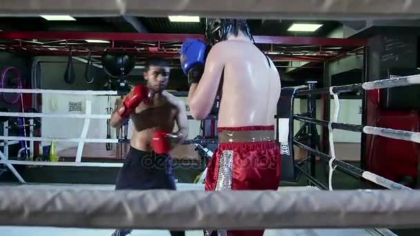 Homens lutando no ringue de boxe — Vídeo de Stock