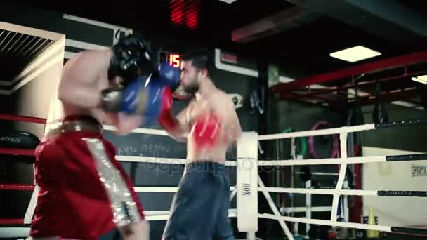 Hombres luchando en el ring de boxeo — Vídeo de stock