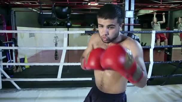 Jovem boxe no ginásio — Vídeo de Stock