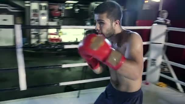 Jonge man boksen in sportschool — Stockvideo