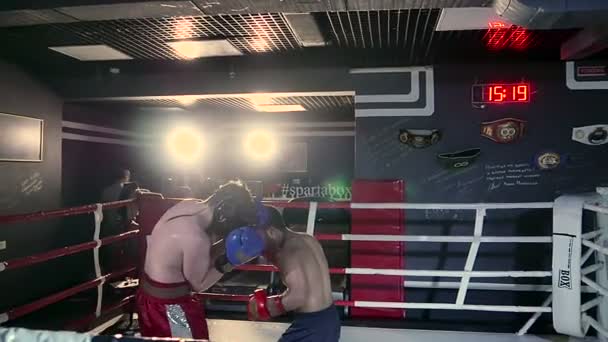 Muskulöse Männer boxen — Stockvideo