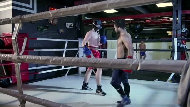 Hommes se battant dans le ring de boxe — Video