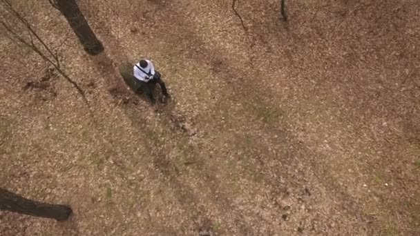 Парень, сидящий на упавшем дереве — стоковое видео