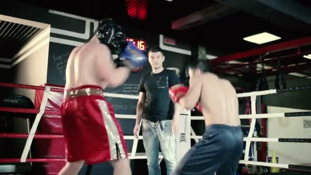 筋肉質の男性はボクシング — ストック動画