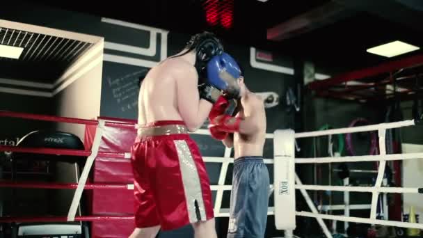 Homens lutando no ringue de boxe — Vídeo de Stock