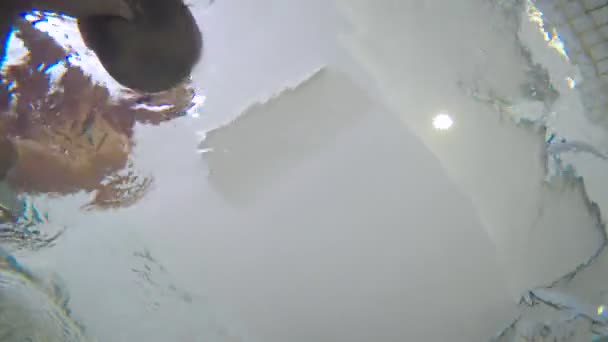 père enseigner la natation bébé 