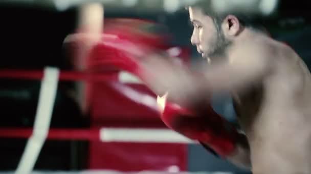 Joven boxeo en el gimnasio — Vídeo de stock