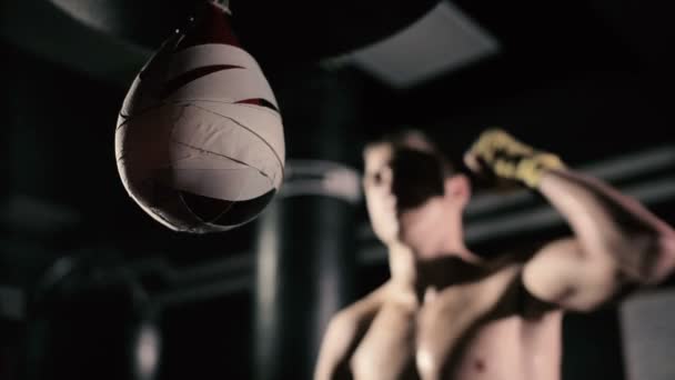 Joven hombre boxeo saco de boxeo — Vídeos de Stock