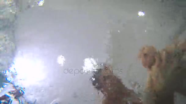 père enseigner la natation bébé 