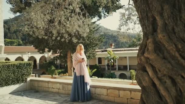 Mujer Bonita Con Vestido Azul Largo Que Permanece Parque Cerca — Vídeo de stock