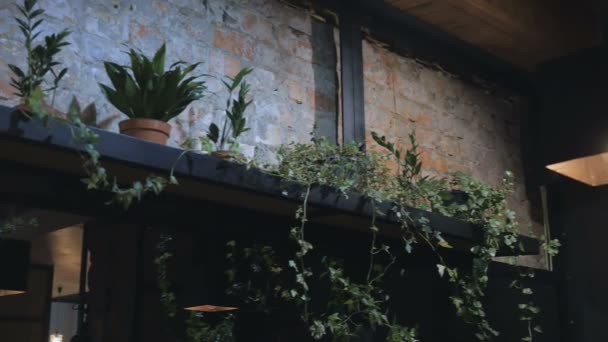 Bar Interior Con Plantas Verdes Cerca Pared Ladrillo — Vídeos de Stock