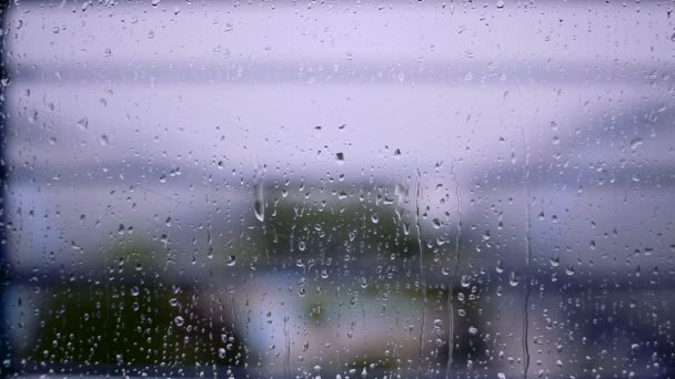 흐리게 배경 창에 빗방울이 — 비디오