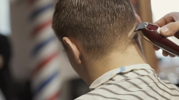 Estilista profesional hace corte de pelo con afeitadora eléctrica — Vídeo de stock