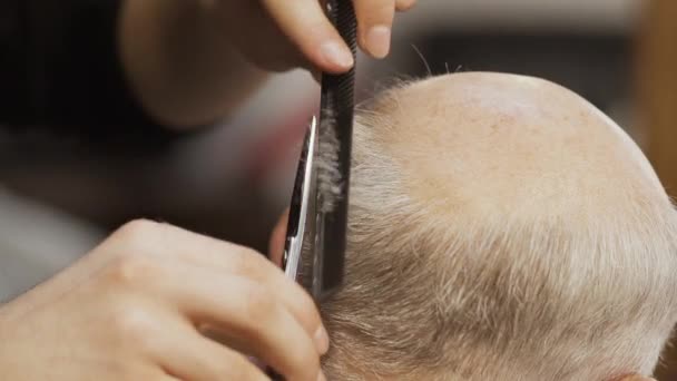 Стилист стрижет седые волосы ножницами для взрослого мужчины — стоковое видео