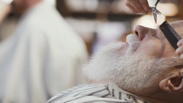 Стилист режет брови зрелому мужчине — стоковое видео