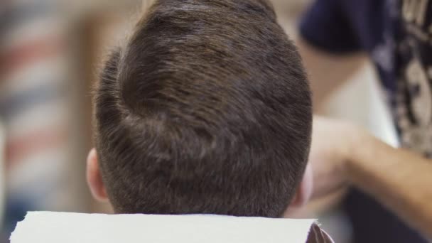 Professionell frisör gör stil skägg till en kund i barbershop — Stockvideo