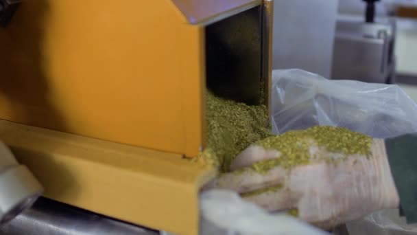 Машина положила сушеный травяной чай в мешок — стоковое видео