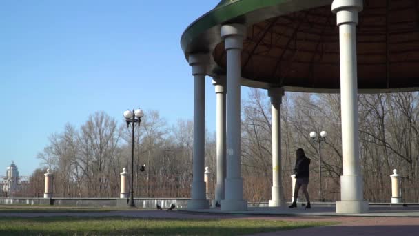 Chica joven caminando en el parque y alimentar a las palomas — Vídeos de Stock