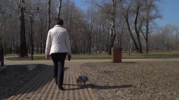 Velha mulher andar no parque com pouco cão — Vídeo de Stock