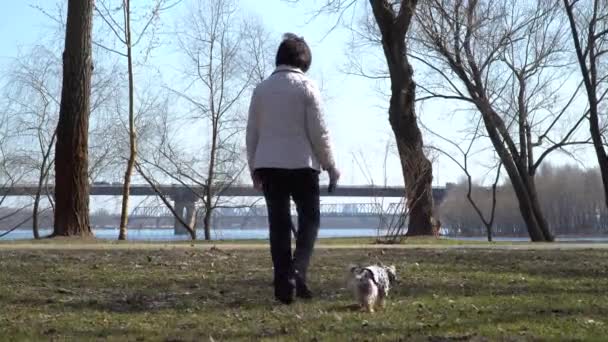 Yaşlı kadın bahar parkı ile küçük köpek içeri girer — Stok video