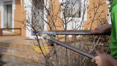 Çocuk kuru dalları bush budayıcı ile kesmek