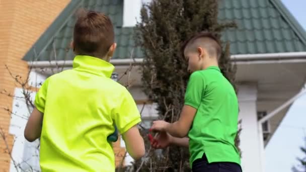 Dos hermanos cortan árboles con podadora en el jardín — Vídeos de Stock