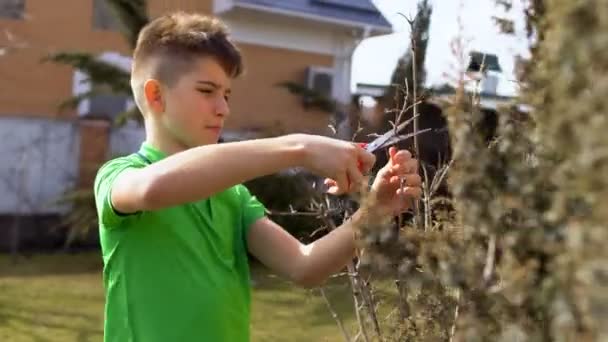少年在花园里切树干树枝 — 图库视频影像