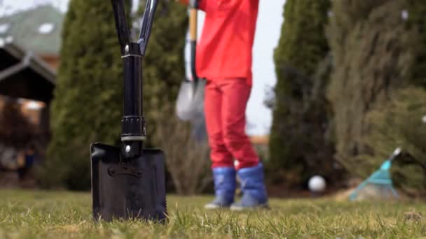 Boy dig a hole for tree with shovel at blurred background — Stock Video