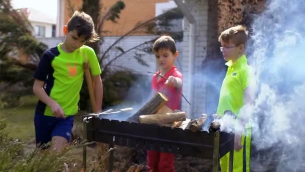 3 형제는 정원에서 모닥불에 보이는 — 비디오
