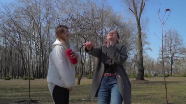 Chicas divertidas bailan al ritmo de la música y cantan en el parque — Vídeo de stock