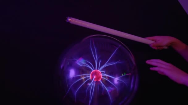 Chico toca a globo de plasma con lámpara — Vídeos de Stock