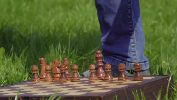 Garçon mettre des pièces d'échecs à l'échiquier — Video