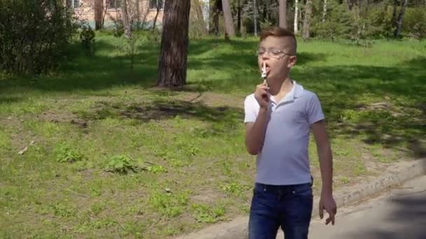 Adorable boy is eyeglasses eats ice cream walking in summer park — Stock Video