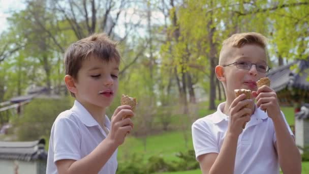 Dwóch braci zjada lody w parku — Wideo stockowe