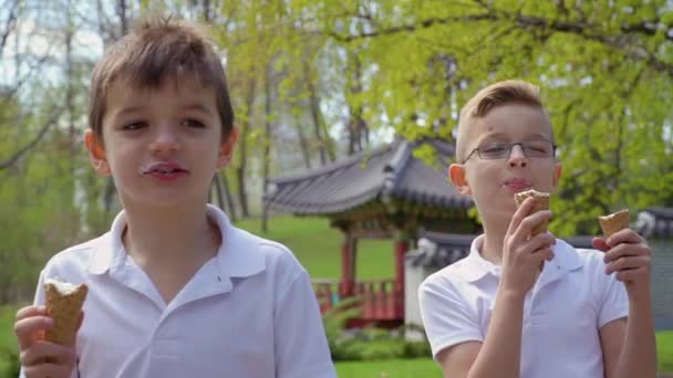 Twee Superleuke jongens eet ijs in park — Stockvideo