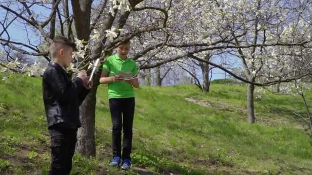 Dos chicos hacen trabajo de laboratorio explorando la floración de flores en el parque — Vídeos de Stock